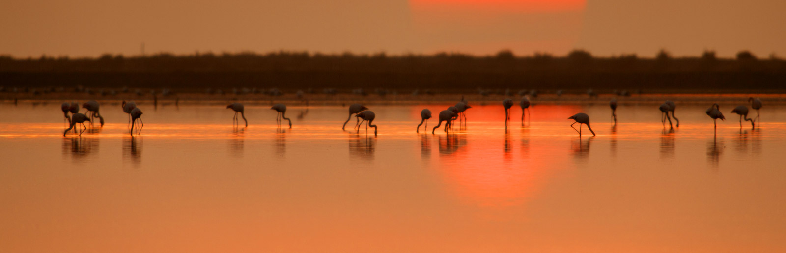 Salina di Cervia